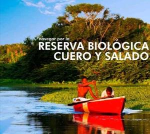 Imagen de la galería de Family Paradise in Palma Real, en La Ceiba