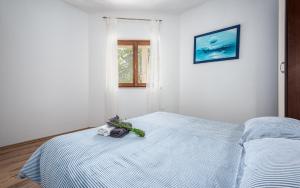 Gallery image of Apartment in Drenje - Istrien 41574 in Drenje