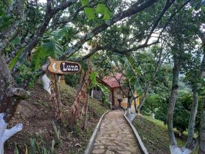 a path leading to a house in the woods at ECOCABAÑAS SAN PEDRO in Anapoima