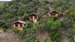 une vue aérienne des maisons sur une colline arborée dans l'établissement ECOCABAÑAS SAN PEDRO, à Anapoima