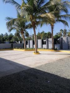 a group of palm trees in front of a building at Habitaciones del Pacifico in Zihuatanejo