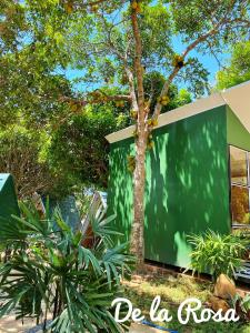 a green screen in front of a tree at Homestay De la Rosa - Côn Đảo in Con Dao