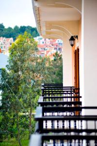 a balcony of a building with a view of a tree at CELEBRITY Hotel in Argostoli