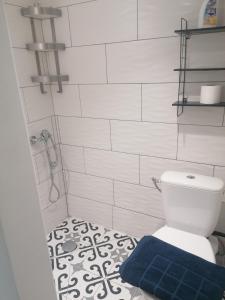a bathroom with a toilet and a blue rug at Le charme du bois in Écharcon