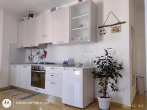 uma cozinha com armários brancos e um vaso de plantas em Appartamento Torri di Avvistamento em Porto Recanati
