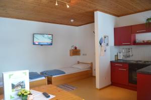 a small room with a bed and a kitchen at Apartment Mauser-Mühltaler in Mauterndorf