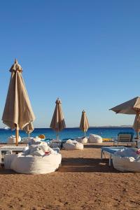 a group of beach chairs and umbrellas on a beach at Tawaya Sahl Hasheesh in Hurghada