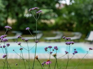 Marciano的住宿－Belvilla by OYO Casa Ilenia，池前一束紫色的花