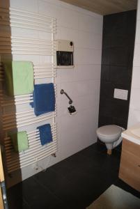 a bathroom with a toilet and towels on a wall at Haus Eberle in Hittisau