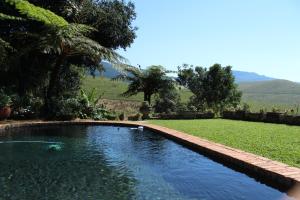 een zwembad in een tuin met gazon en bomen bij Mountain Rose Guesthouse in Louis Trichardt