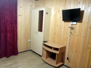 a room with a television and a wooden wall at Сонячний Котедж in Slavske