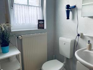 ein Badezimmer mit Toilette und Waschbecken in der Unterkunft 50059 Ferienhaus in Altfunnixsiel + 19 Fotos