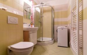 a bathroom with a shower and a toilet and a sink at Central Apartment in Donovaly