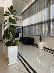 a lobby with two potted plants on the floor at ECCO Modern Guest House in Addis Ababa