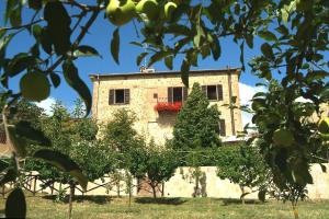 Vonkajšia záhrada v ubytovaní VILLA ANGELINI 14&7, Emma Villas