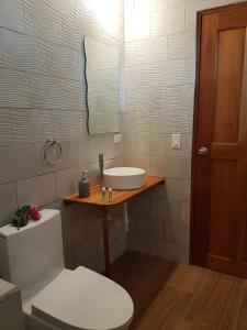 a bathroom with a sink and a toilet and a mirror at Magic Mountain Lodge in Las Lajas