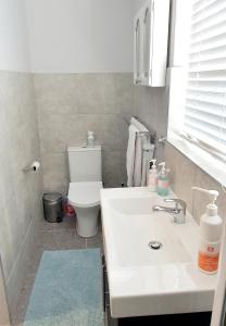 a bathroom with a white sink and a toilet at Mountain Rose Cottage in Bellville