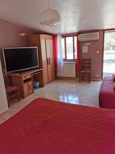 uma sala de estar com uma televisão de ecrã plano e um tapete vermelho em La Chaumiere em Agde