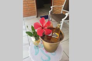 a bucket with a bottle of beer and a flower at CASA TULIPANES, CASITAS-TECOLUTLA,CASA DE PLAYA COMPLETA in Costa Esmeralda