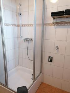y baño con ducha y puerta de cristal. en Apartment Bona Loca, en Aschersleben