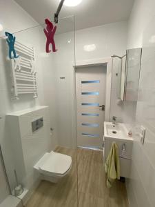 Baño blanco con aseo y lavamanos en Apartament w Słonecznej Dolinie Jastrzębia Góra, en Jastrzębia Góra