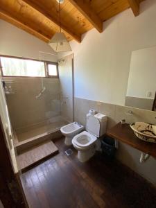 a bathroom with a toilet and a shower and a sink at Cabaña El Churqui in Tafí del Valle