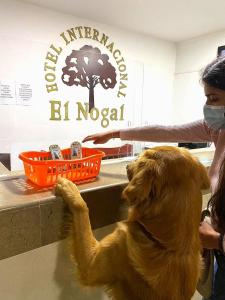 a dog standing on a counter with its paw on a table at INTERNACIONAL EL NOGAL in Ipiales
