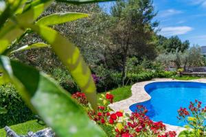 Basen w obiekcie Casa Rosa, con encanto y piscina climatizada lub w pobliżu