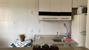 a kitchen with a sink and a counter with plants at Loft Reserva do Sahy - Mangaratiba in Mangaratiba