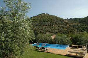 a swimming pool with a hill in the background at Montericco B&B in Negrar