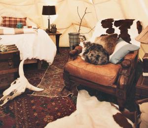 Afbeelding uit fotogalerij van Dreamcatcher Tipi Hotel in Gardiner