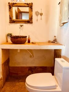 a bathroom with a white toilet and a mirror at Casa Dos Patos in Flecheiras