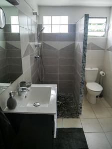 a bathroom with a sink and a shower and a toilet at Studio proche de la Soufrière in Saint-Claude