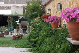 een tuin met bloemen in potten aan de zijkant van een gebouw bij Villa Don Juan II in Segovia