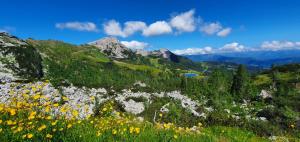 Paesaggio naturale nelle vicinanze dell'appartamento
