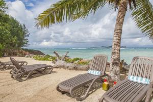 two chairs and a palm tree on the beach at Villas Coco Beach Praslin in Anse Kerlan