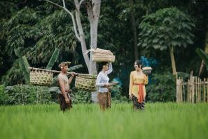 tres personas de pie en la hierba con cestas en la cabeza en Candy Villa by GenuineHost, en Ubud