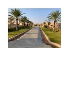 een weg met palmbomen aan de zijkant bij Arabian Nights Resort & Spa in Shāhiq