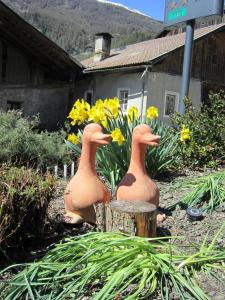 A garden outside Aparthotel Garni Haus Hubertus