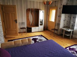 a bedroom with a blue bed and a tv at Къща за гости и приятели Селановска среща in Selanovtsi