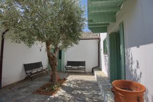 a patio with a tree and two benches next to a building at Villa Aquilo in Megali Ammos