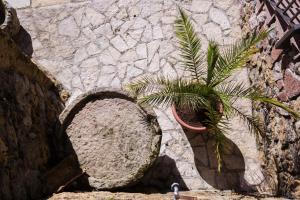 Kép La Casona de Cardes szállásáról Cangas de Onísban a galériában