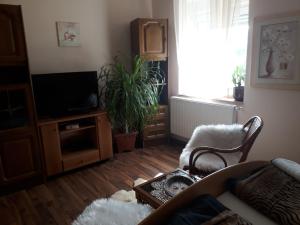Zdjęcie z galerii obiektu City Camping& Apartman &Bungalow w Győr