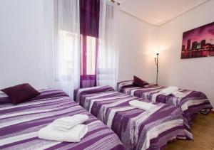 4 lits violets et blancs dans une chambre dans l'établissement Pension Salamanca, à Salamanque