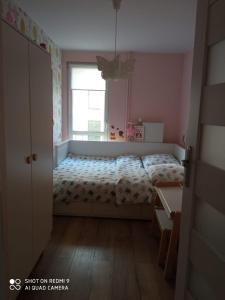 Posteľ alebo postele v izbe v ubytovaní Sanshiro apartment