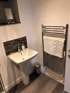 a bathroom with a white sink and a shower at The Grooms Cottage in Llanrug