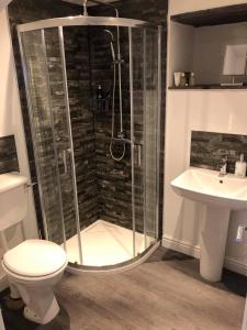 a bathroom with a shower and a toilet and a sink at The Grooms Cottage in Llanrug