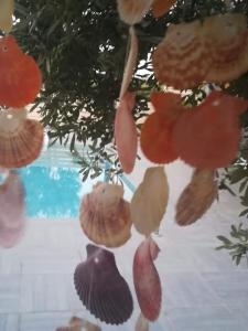 Bazén v ubytovaní DREAMCATCHER alebo v jeho blízkosti