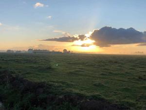 een zonsondergang in een veld met zonsondergang bij Ferienhaus Kaept n Poldi 25192 in Bunde