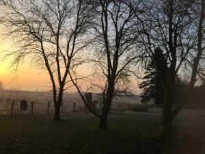 Afbeelding uit fotogalerij van Ferienhaus Kaept n Poldi 25192 in Bunde